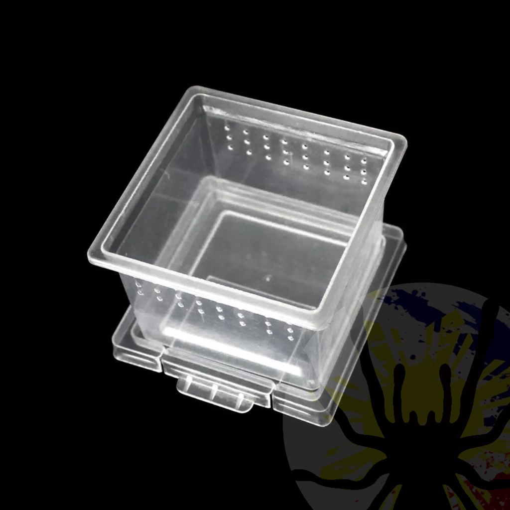 Square Terrestrial Breeding Box (Small) | Terrarium | Tarantula & Scorpion Enclosure