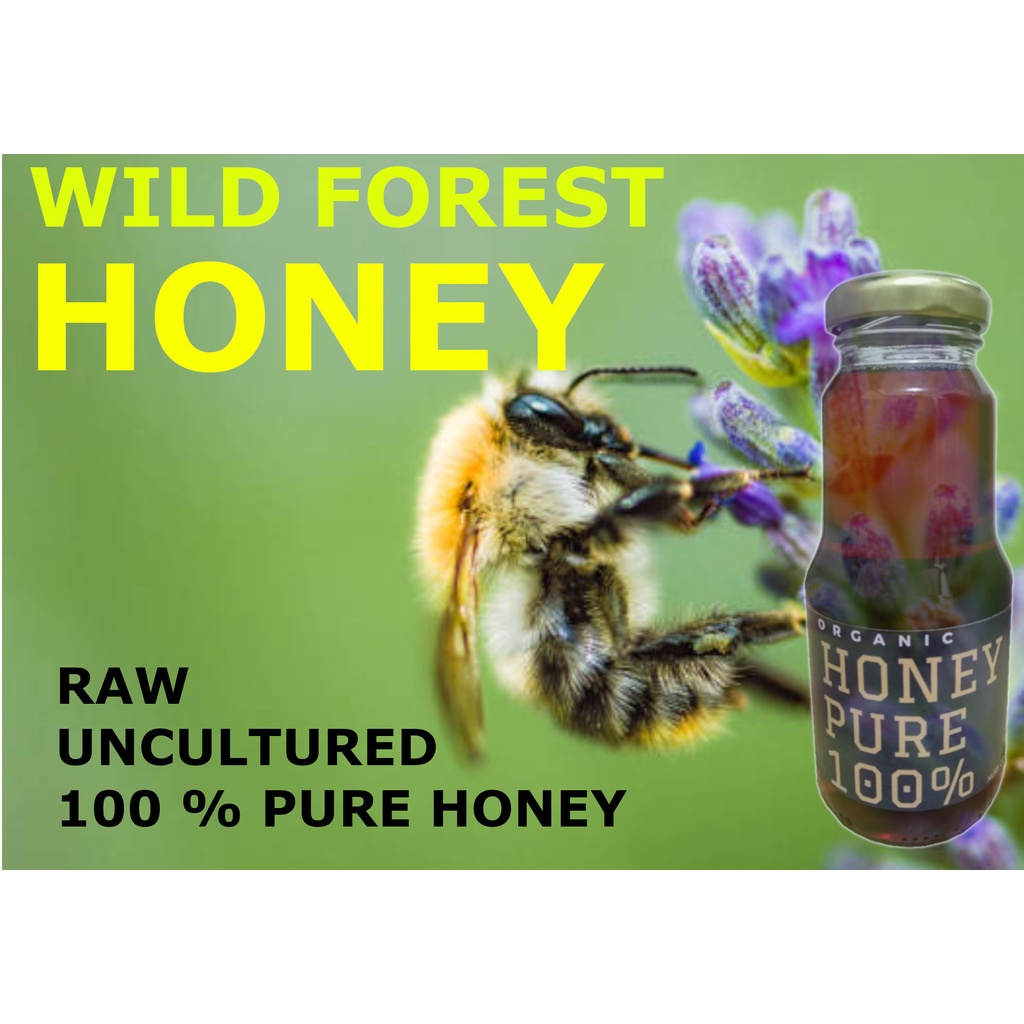 Organic Raw Honey 518g Shopee Philippines