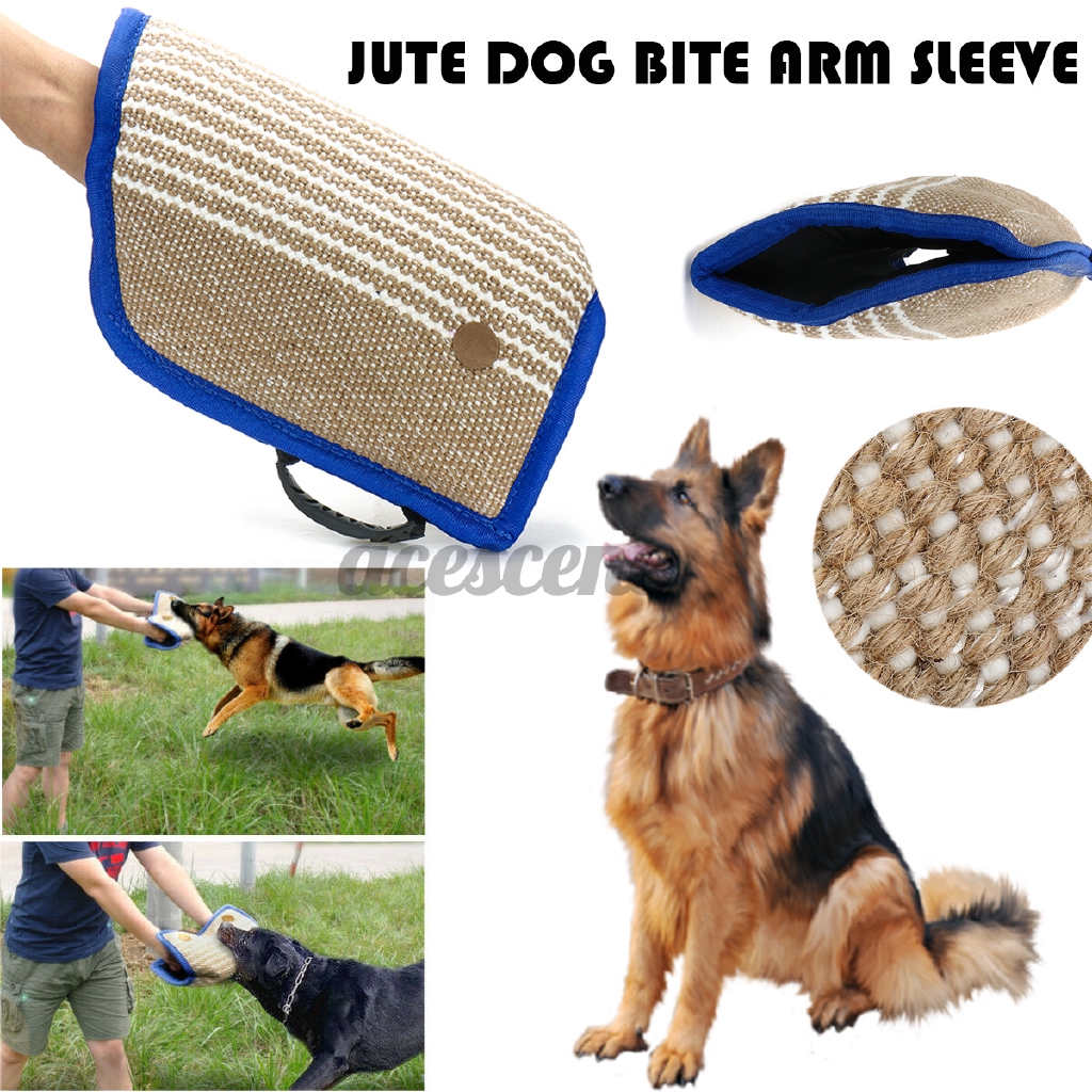 german shepherd protection training