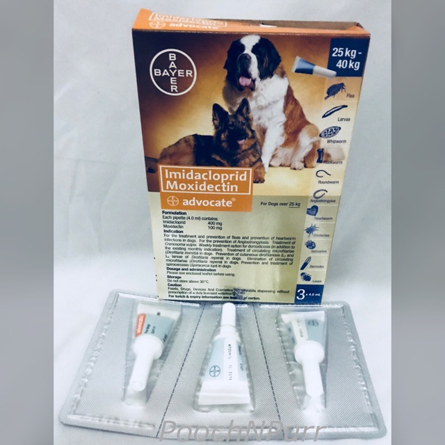 advocate for dogs over 25kg