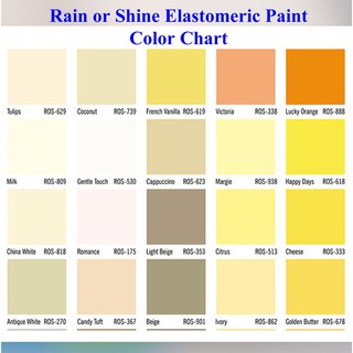 Rain or Shine Elastomeric Waterproofing Paint Pail / 16 Liters Chart ...