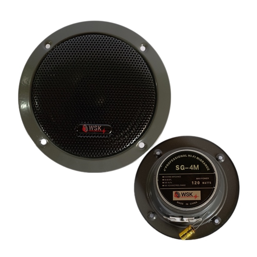 Centrix WSK SG4M Professional HiFi Midrange Speaker with FREE CAPACITOR (4inches) Shopee