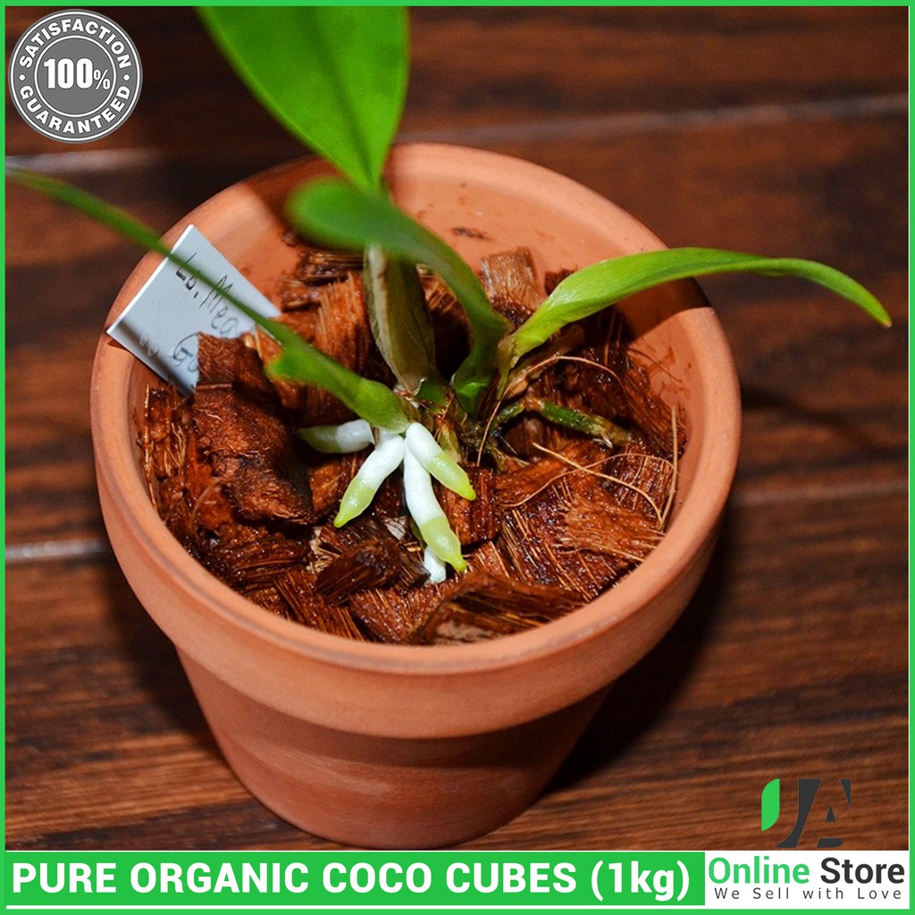 Anthurium & Hoya Plant Coconut Husk Fiber 100% Natural Growing Media for Orchid 