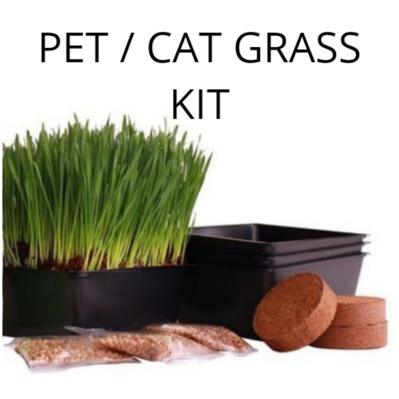 Pet / Cat Grass Kit 250grams Seeds, 500grams Loam Soil & Pot Shopee