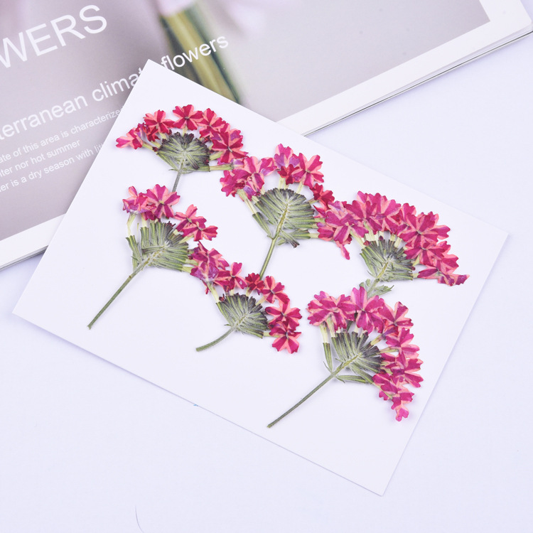 30pcs with branches beautiful cherry blossom embossed diy dried flower phone case sticker diy