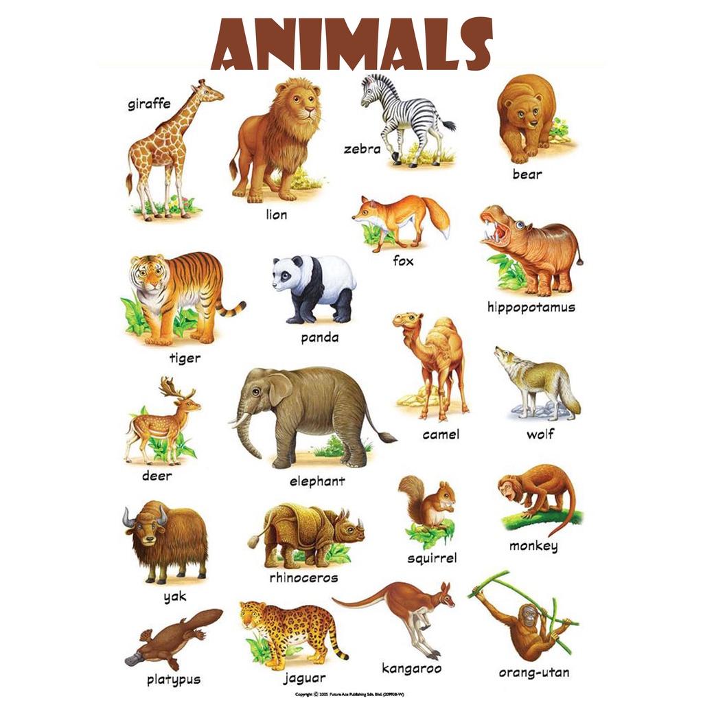 Tarpaulin Animals Chart for Kids l Animal l Chart for Kids l ...