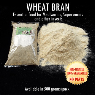 WHEAT BRAN (2 kg) Worm Food. No Pests. Essential food for feeder insects and animals (GREENSECT)
