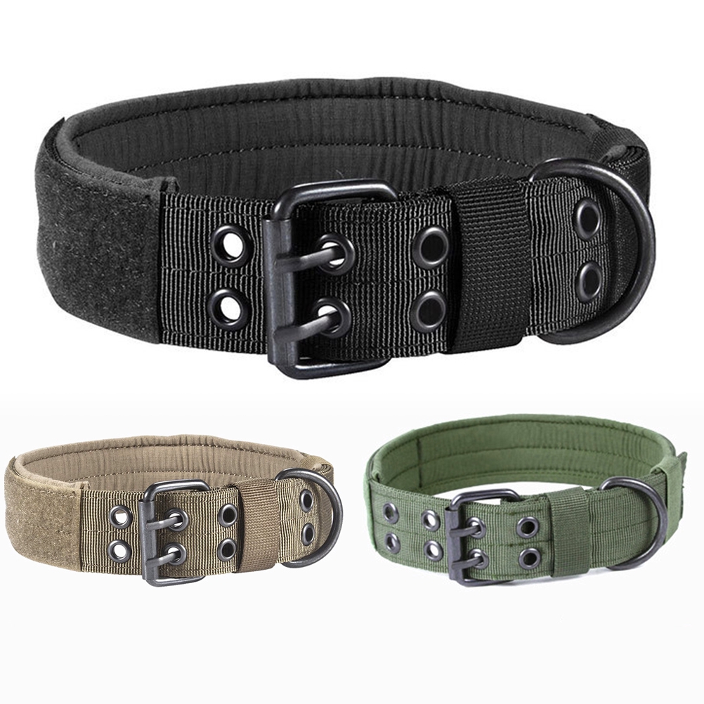 buckle dog collars