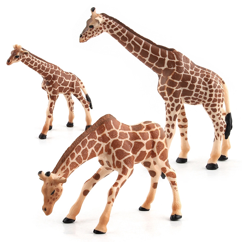 animal model kits