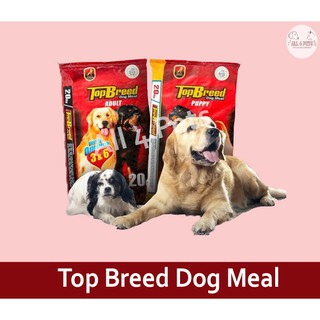 Top Breed Adult and Puppy