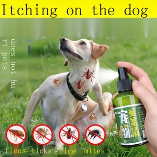 Anti Fleas Ticks [Safety not afraid of licking] In vitro deworming medicine for dogs addition to fle