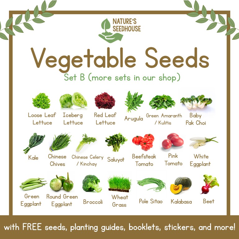 Vegetable Seeds Collection SET B âââ More Vegetables Seeds in SET A & SET C | Shopee Philippines