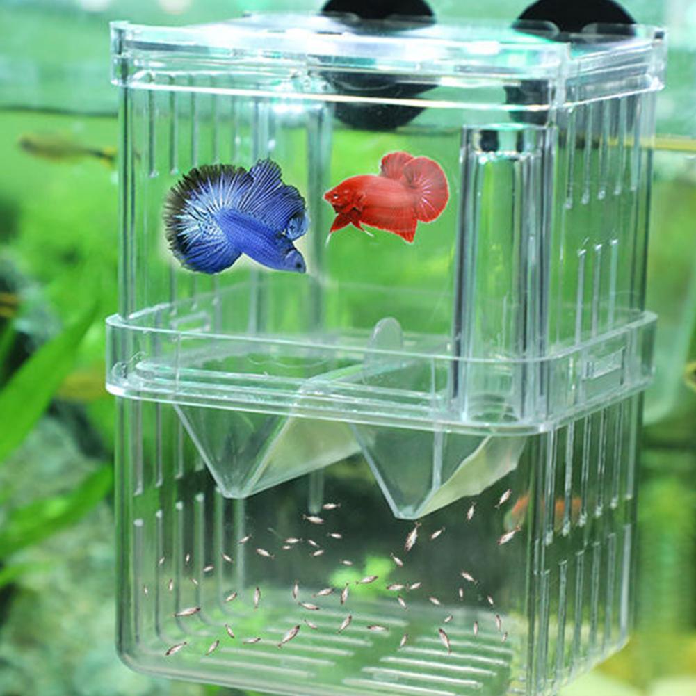01 Breeding Incubator Large Aquarium Fish Breeder Box Convenient Plastic for Small Fish 