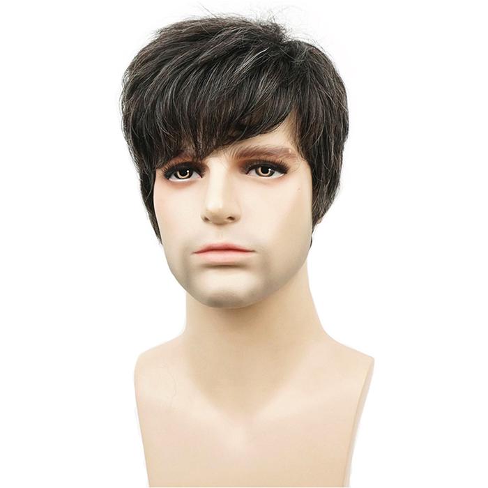 Korean Men's Handsome Short Straight Hair Full Wigs Cosplay Shopee