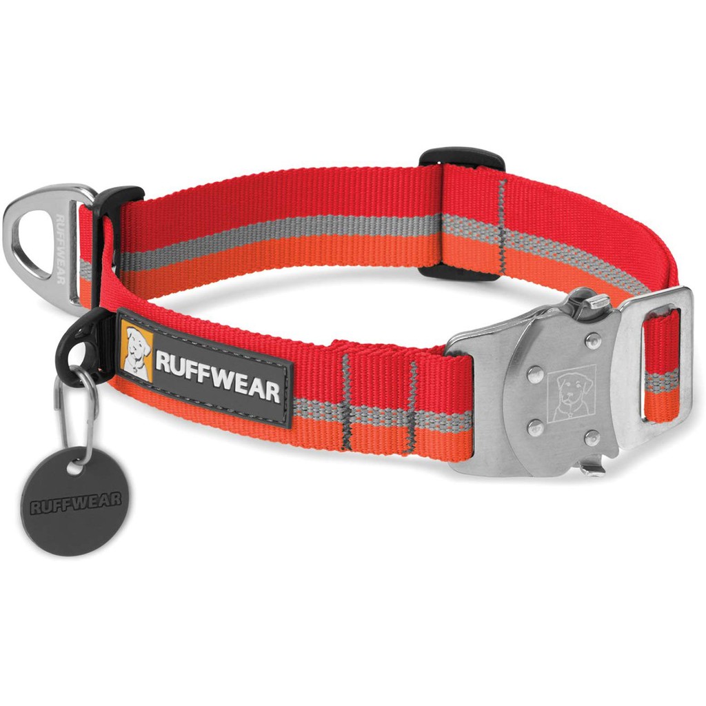 dog collar belt online