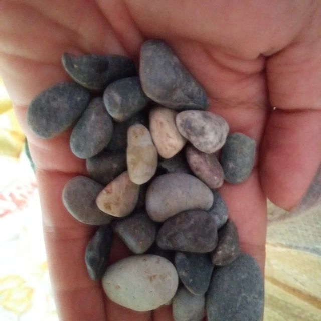 Pebbles Diff Types And Sizes, What Size Gravel For Landscaping In Philippines