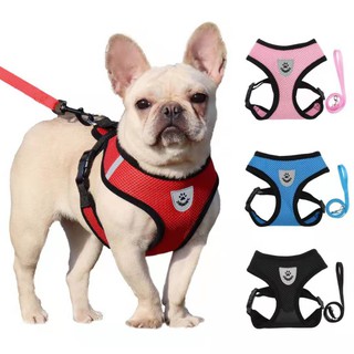 Pet Dog Cat Harness Chest Strap Breathable Mesh Vest Adjustable Leash Strap Set