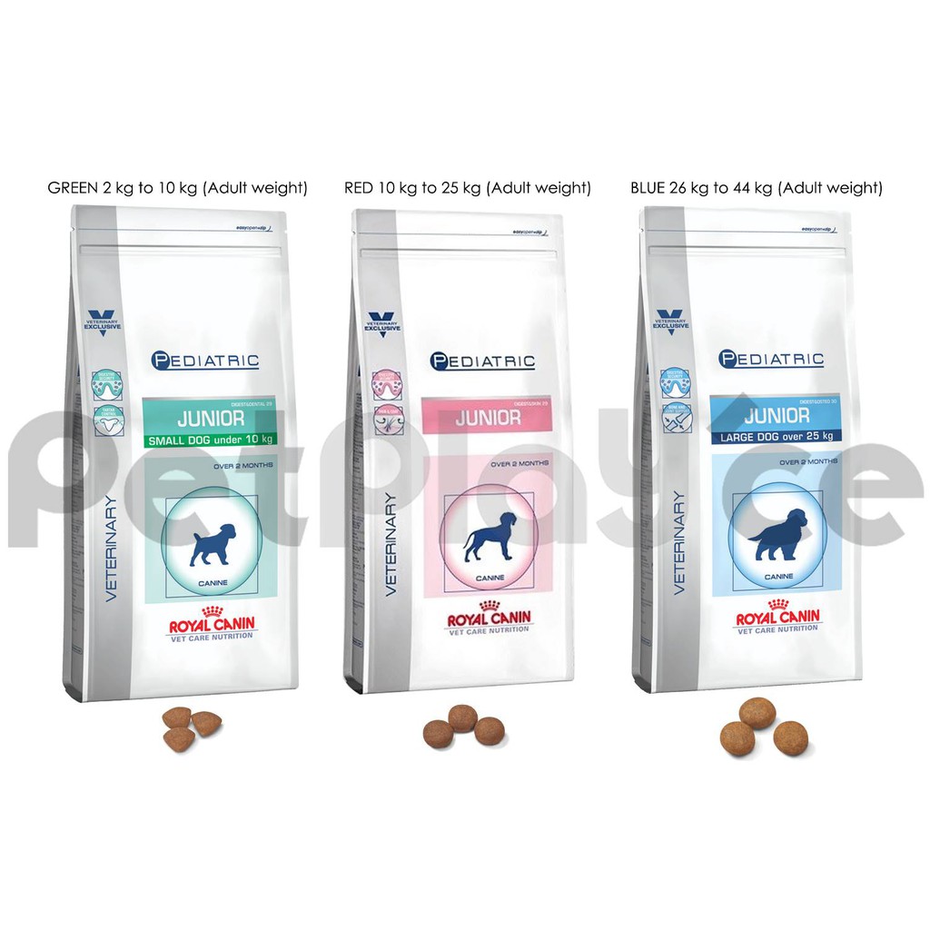 royal canin pediatric junior small dog under 10kg