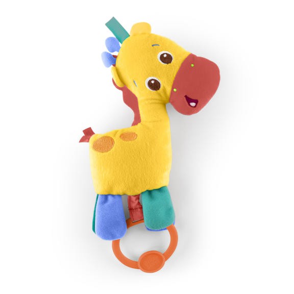 bright starts zippy zoo activity gym