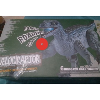 Velociraptor Remote control dinosaur