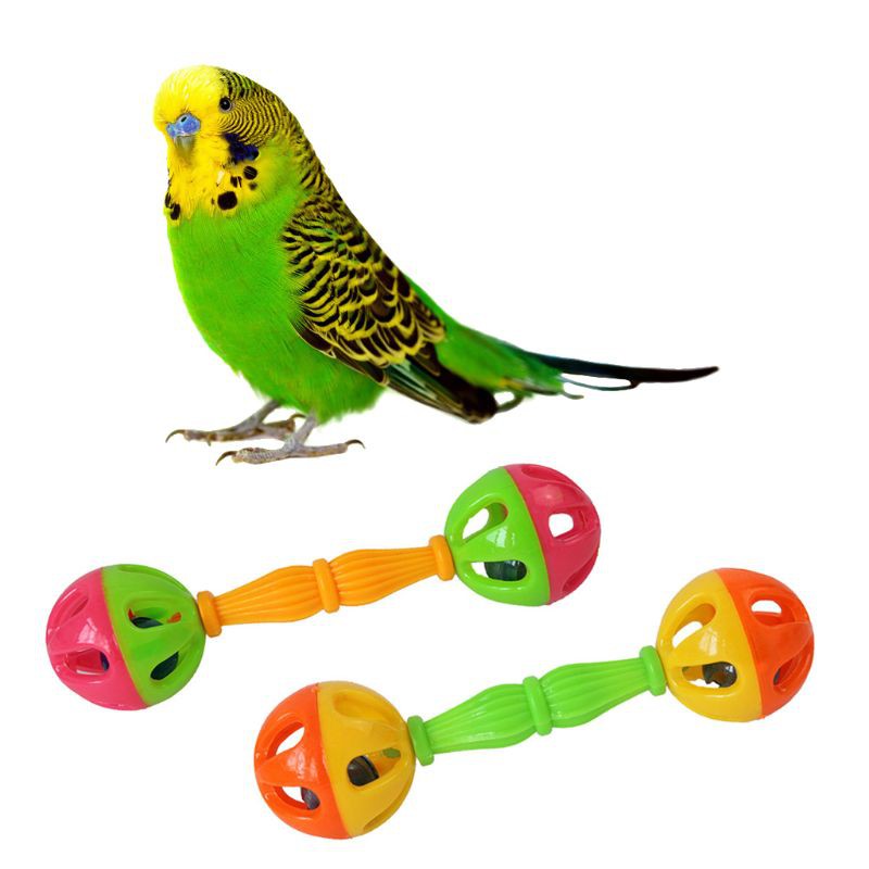 2 Pcs Bird Parrot Toy Rattle Birds Fun 