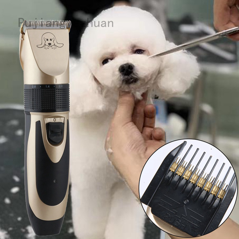 dog shaver