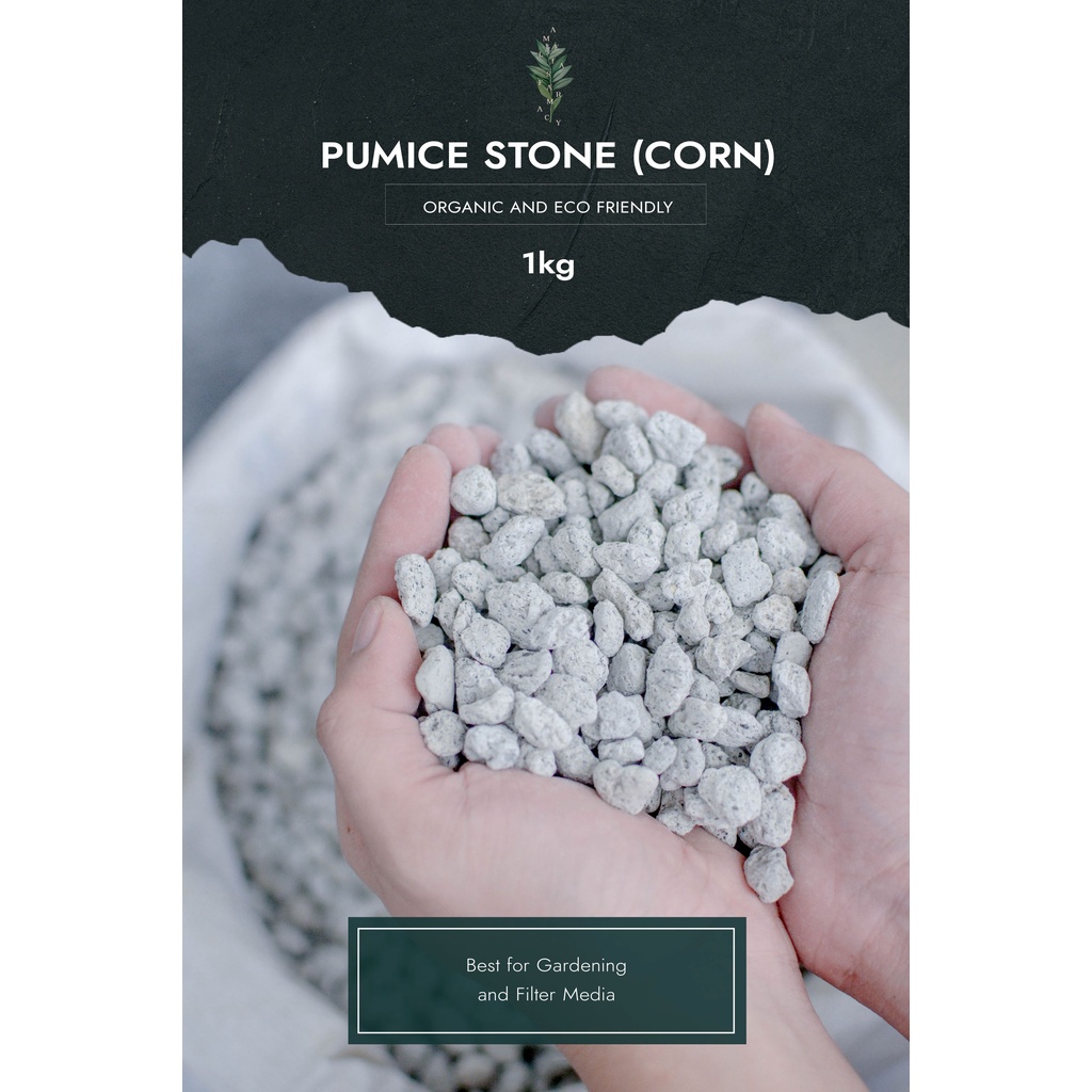 1kg Pumice Stone Corn size Shopee Philippines