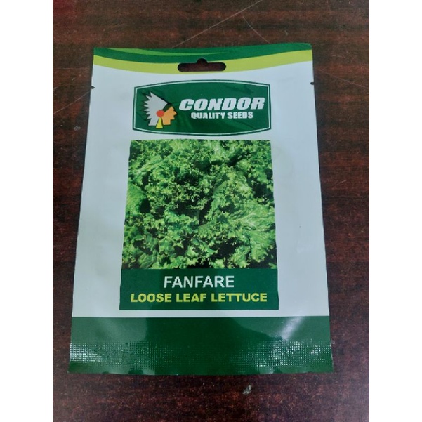 Fanfare (3 grams) Loose leaf lettuce by Condor Shopee Philippines