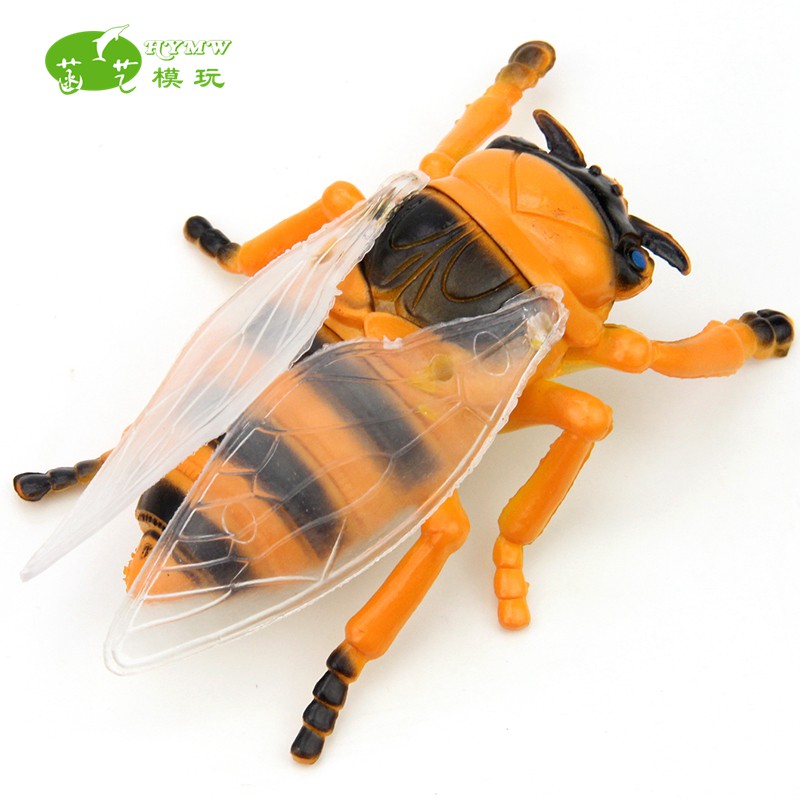 cicada toy