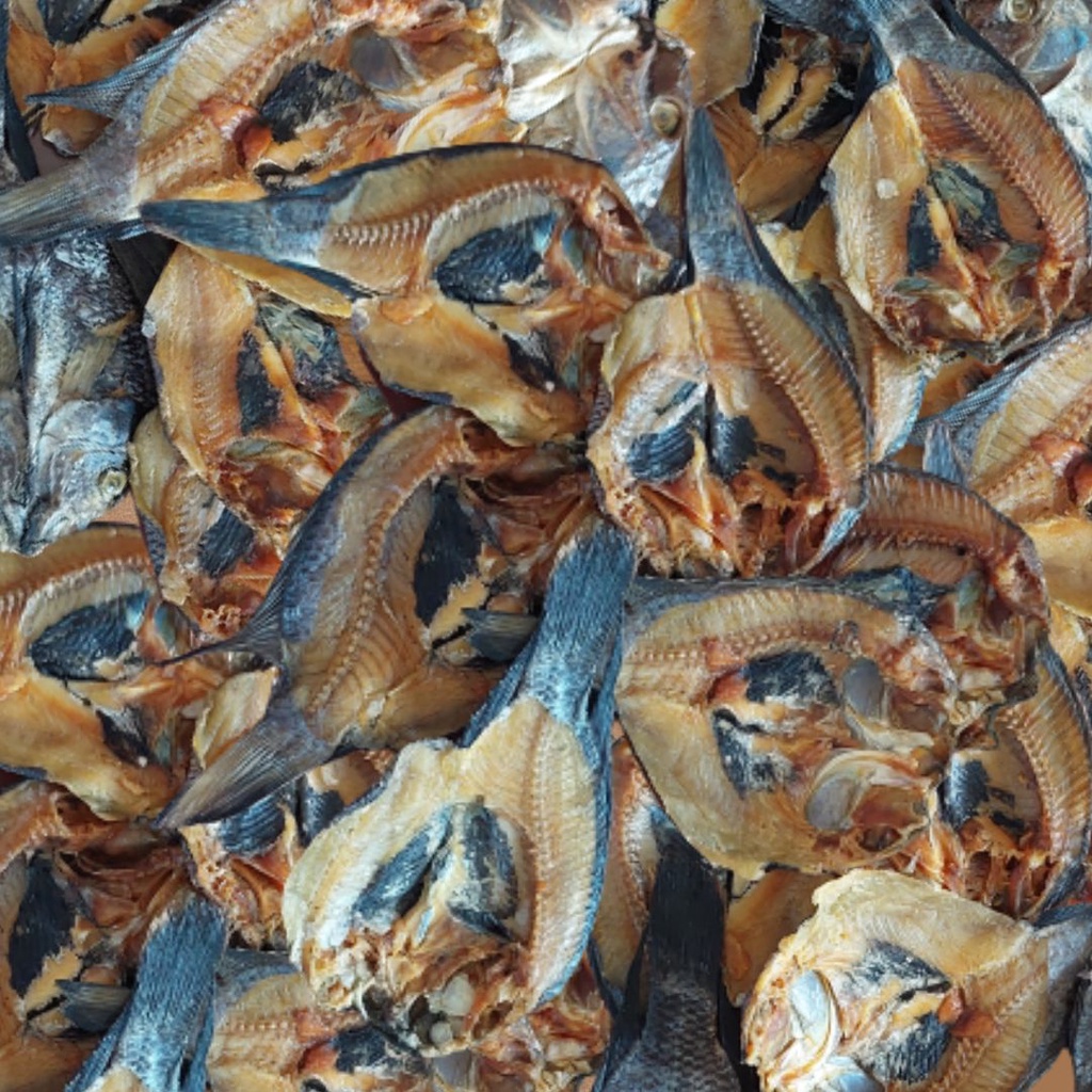 Dried Fish / Bulad / Dried Tilapia Fish 100g Shopee Philippines