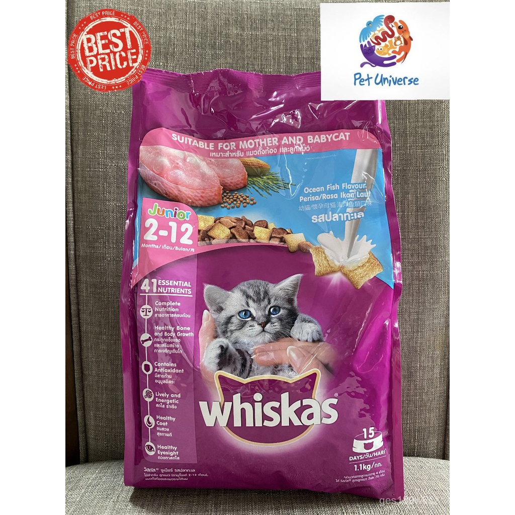 Whiskas Junior (212 Months) Dry Cat Food, Ocean Fish Flavour, 1.1Kg