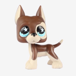 Original 1pc LPS cute toys Lovely Pet shop animal Chocolate Chihuahua Dog Blue eyes action figure li