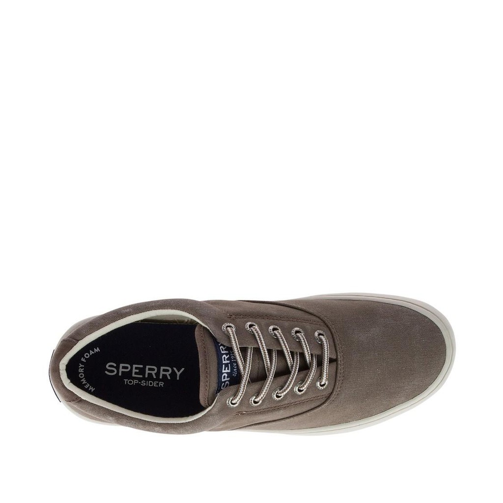 sperry cutter sneaker