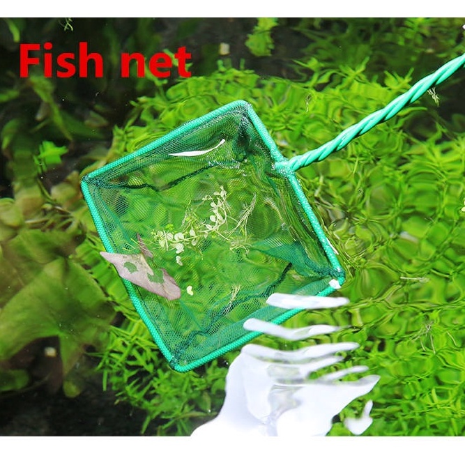Fish Net Green With Plastic Handle for Fish Tank (3”,4”, 5” and 6”)