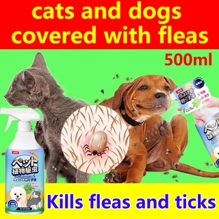 （hot sale)【500ml High capacity】Tick and Flea Killer For Dogs Imported from Japan Anti Tick and Flea #1