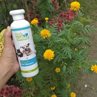 petsmart mange treatment