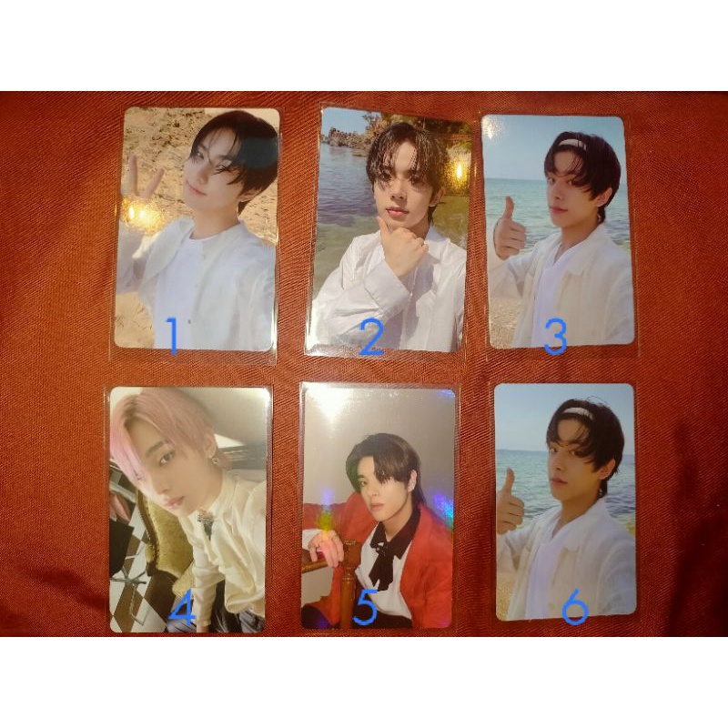 (Enhypen) Chinese Sine Card & Bum Card | Shopee Philippines