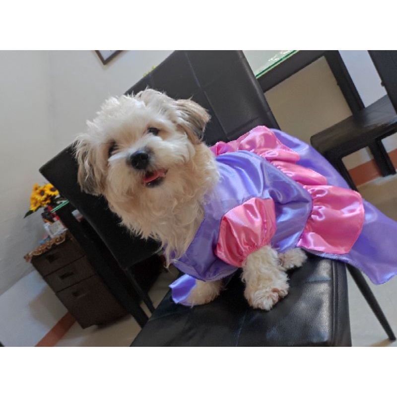 PRE-ORDER Disney Princess Dog Pet Costume(XS,S,M,L,XL) #5