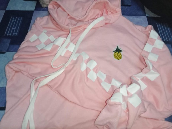 pineapple embroidered gingham crop hoodie