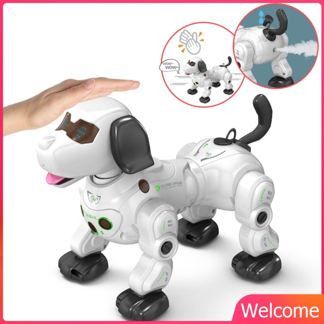 new smart robot 2020