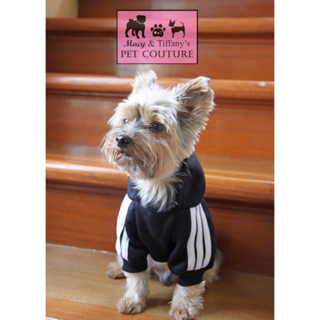 adidas jumpsuit for dogs