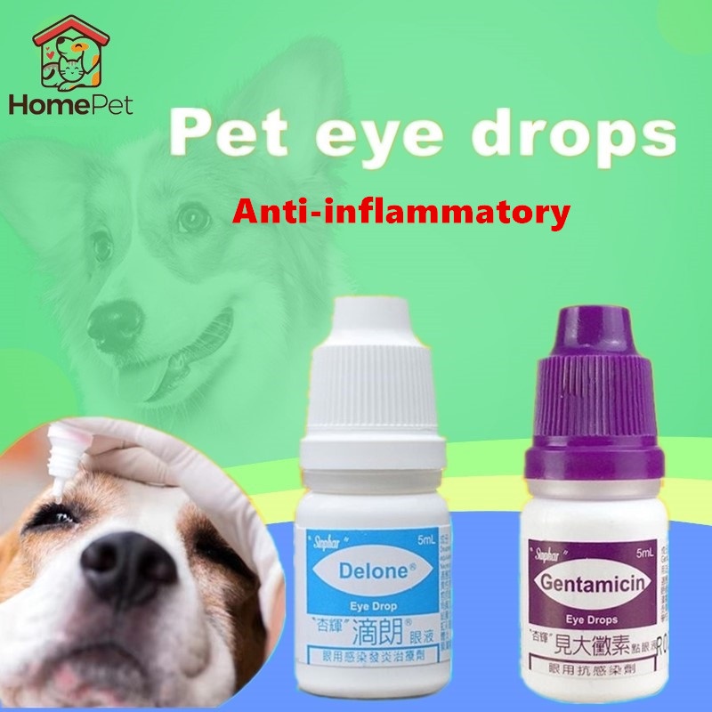 Sinphar Gentamicin and Delone Cat and Dog Eye Drops 5ml Shopee