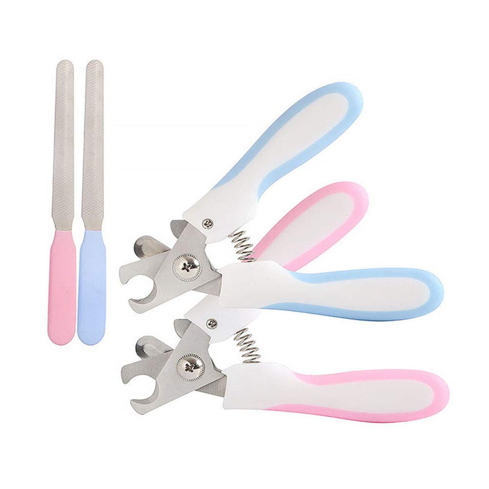 nail clippers dog grooming