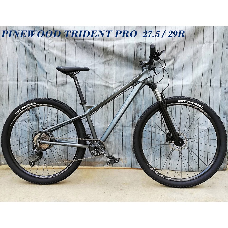 pinewood mountain bike