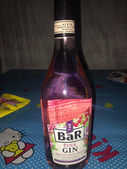 Skylinker Moonwalk Baby Walking Assistant Orange Shopee Philippines shopee