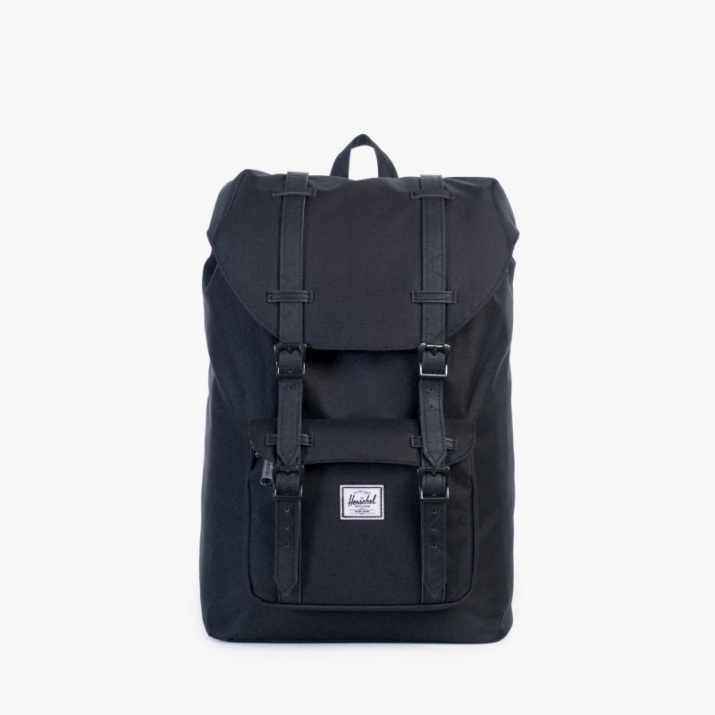 herschel bag for men