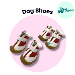 Pet Dog Fashion Shoes Anti Slip Boots Colorful 4pcs B #3