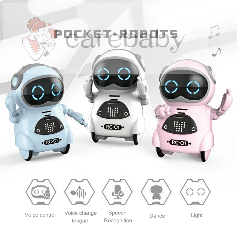pocket robot toy