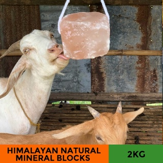 SHARKS MARKS Himalayan Licking Salt Mineral Block Immune Booster for Horse Goat Cattle Sheep Pigs