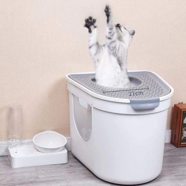 Cat Litter Box Top Exit Shopee Philippines